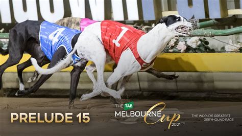 melbourne cup 2021 tab